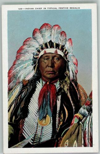 Indian Chief in Typical Festive Regalia Indianer