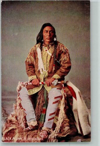 Troilene Indian Series Black Plume , Bloodindian Indianer