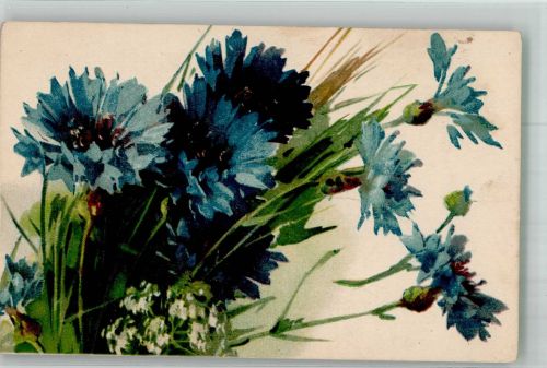 Kornblumen GOM 1680 Blume