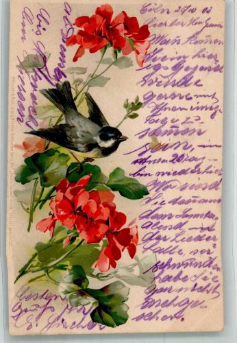 Künstler Postkarten Serie 1047 Unsere Gartenfreunde Meissner & Buch 1903