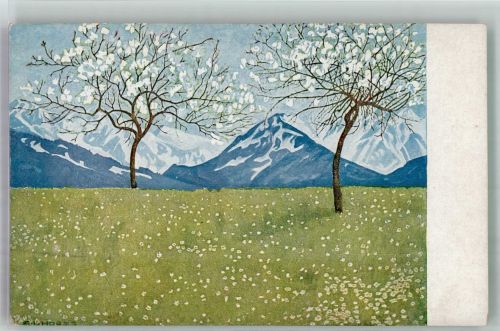 sign. Hoeß Eug. L. Frühling in den Alpen Serie XXIV Verlag Jugend Künstlerkarte
