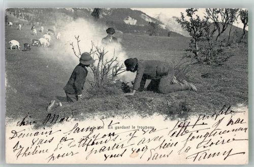 Schafe Hirte 1903