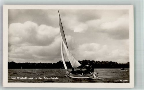 Der Werbellinsee in der Schorfhaide Segelboot