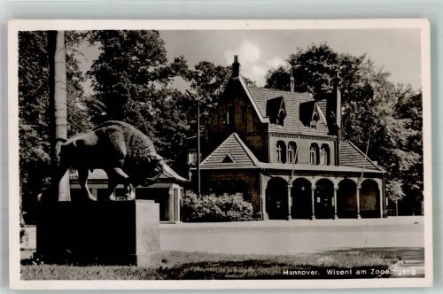 W3000 Hannover Wisent am Zooeingang Zoo