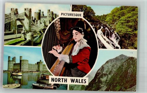Frau North Wales Conway- u. Caernarvon Castle Wasserfall Harfe