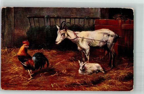 Ziegen Hahn T.S.N. Serie 700 Schönian, A. 1907 Künstlerkarte