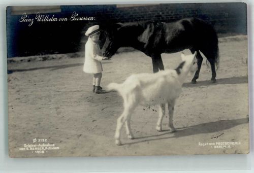 Der kindliche Prinz mit Pferd und Ziege Fotograf Berger Photochemie 2132 Adel Prinz Wilhelm 1909