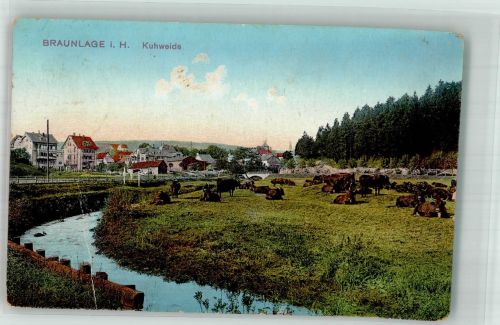 38700 W3389 Braunlage 1915 Gebrauchsspuren Kuhweide Kühe