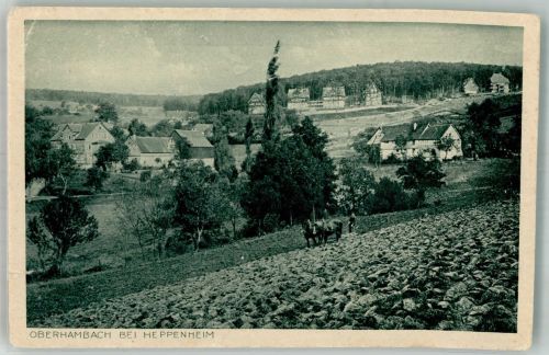 64646 W6148 Heppenheim Bergstraße Gebrauchsspuren Oberhambach Landwirtschaft Foto AK
