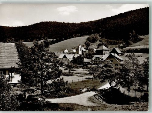 72275 W7297 Reinerzau Foto AK Panorama des Ortes