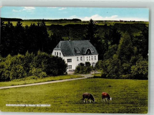 54518 W5561 Plein Foto AK Hotel Gasthaus Waldschlösschen Fotograf Drockenmüller