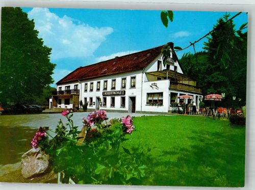 54426 W5509 Büdlich Foto AK Hotel Gasthaus Robertmühle in Büdlicherbrück