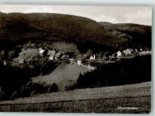 95131 W8678 Schwarzenstein a Wald Foto AK Panorama des Ortes Fotograf Löwenhag
