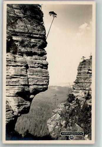 01814 O8320 Bad Schandau Foto AK Schrammsteine Gesteinsformation Heringsloch Fotograf Otto Fleischmann