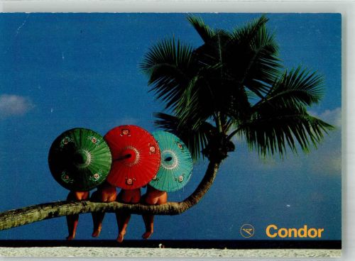Nackte Frauen auf Palme unter bunten Sonnenschirmen auf den Malediven Erotik Fotograf von Alvensleben Condor Werbe AK