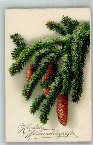 Tannengrün mit Zapfen Weihnachten 1931 Künstlerkarte