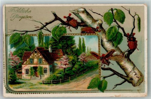 Bauernhaus mit Maikäfern auf Birkenzweig Golddruck Pfingsten 1913 Prägedruck