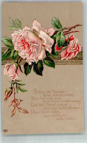 Rosenzweig mit rosa Blüten E.A.S. Rose Prägedruck