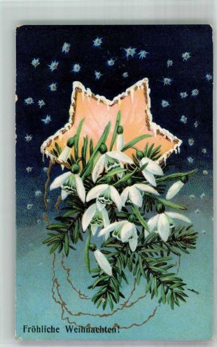 Stern Schneeglöckchen und Tannengrün Weihnachten Prägedruck