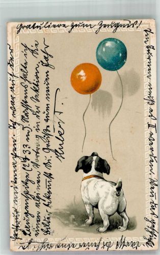 Kleiner Hund schaut bunten Lauftballons hinterher Ballon Prägedruck
