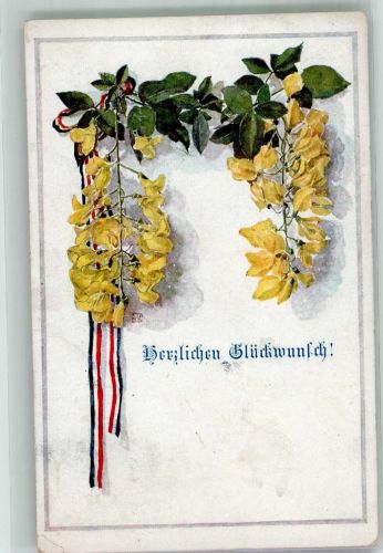 Glückwünsche Gelber Goldregen mit Schwarz-Weiß-Roter Schleife Deutscher Schulverein Künstlerkarte Nr. 967 Schulverein Gebrauchsspuren