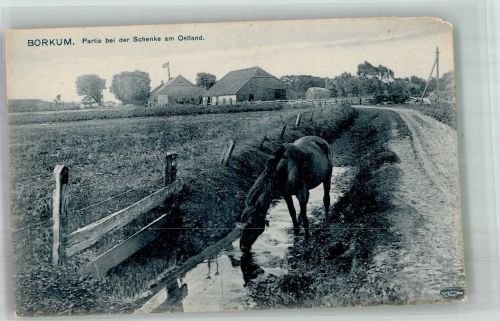 26757 W2972 Borkum 1906 Gebrauchsspuren Saufendes Pferd an der Schenke im Ostland Verlag Louis Glaser 2317