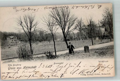38350 W3330 Helmstedt 1903 - Brunnental mit Villa Burgberg und Haus Waldfried