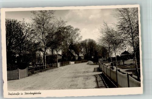 24972 W2391 Steinbergkirche - Dorfstraße Das schöne Angeln Bild Serie Nr. 120