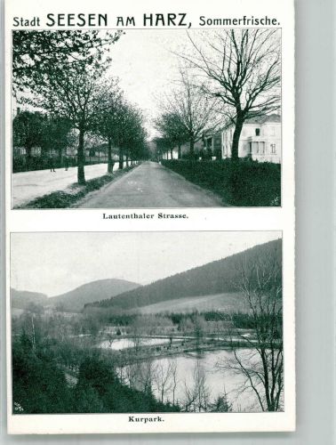 38723 W3370 Seesen , Harz 1905 - Lautenthaler Strasse Kurpark