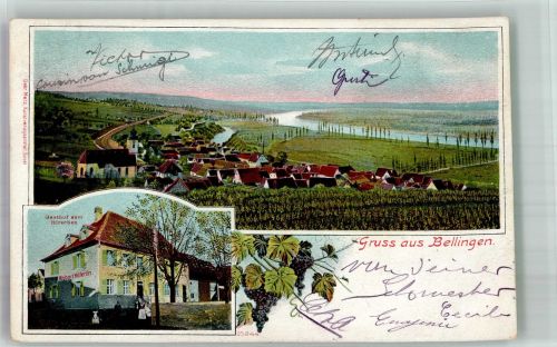 79415 W7848 Bad Bellingen , Baden 1907 - Gasthaus zum Hirschen Weinreben
