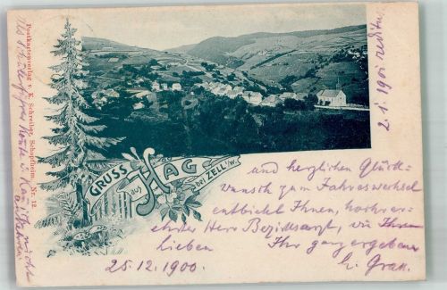 79685 W7861 Häg-Ehrsberg 1900 - Dorfkern Tanne Fliegenpilze