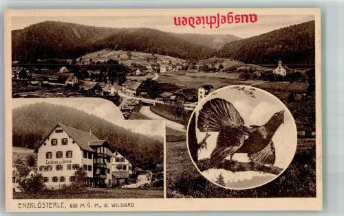 75337 W7546 Enzklösterle Gebrauchsspuren Gasthaus zur Krone Auerhahn