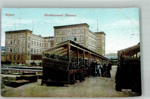 99084 O5000 Erfurt 1912 - Etablissement Benary Blumenstände