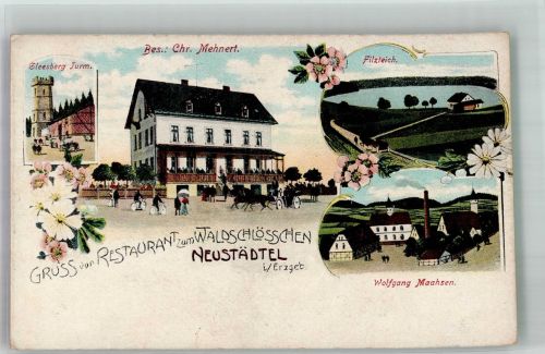08289 O9412 Schneeberg , Erzgeb Lithographie Neustädtel Gasthaus zum Waldschlösschen Gleesberg-Turm Filzteich