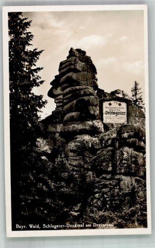 W8391 Pleckenstein , Niederbay Schlageter-Denkmal am Dreisessel Schlageter Foto AK