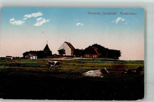 25813 W2250 Husum , Nordsee Foto AK Neukirchen Friesische Landschaft