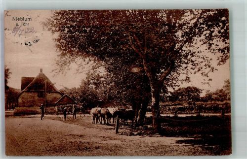 25938 W2270 Nieblum 1922 Foto AK Insel Föhr Infaltions-Briefmarken