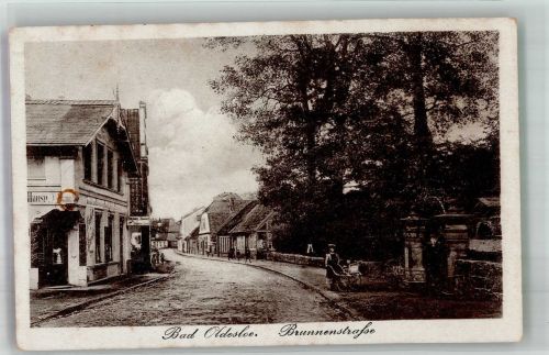 23843 W2060 Bad Oldesloe Foto AK Brunnenstrasse