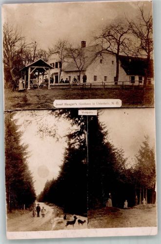 3323 Neustadtl-Umgebung 1924 Foto AK Unterholz Gasthaus Haager