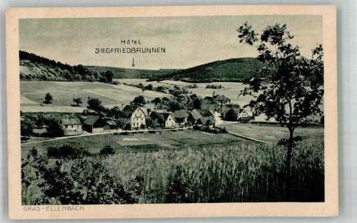 64385 W6149 Ellenbach , Odenw Foto AK Gras Hotel zum Segridbrunenen