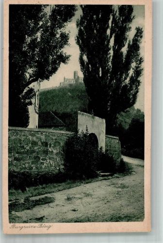 Bezdez Schlossbösig Foto AK Burg Ruine
