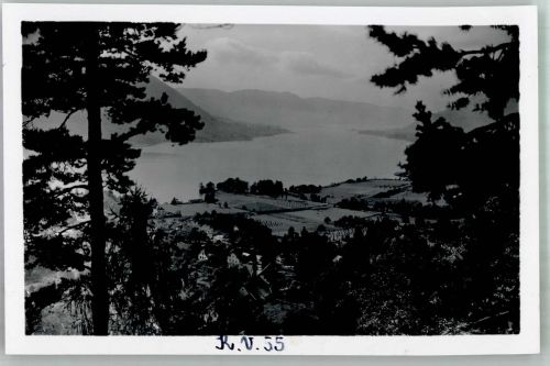 9551 Steindorf am Ossiacher See FOTO KEINE AK Steindorf Ossiacher See