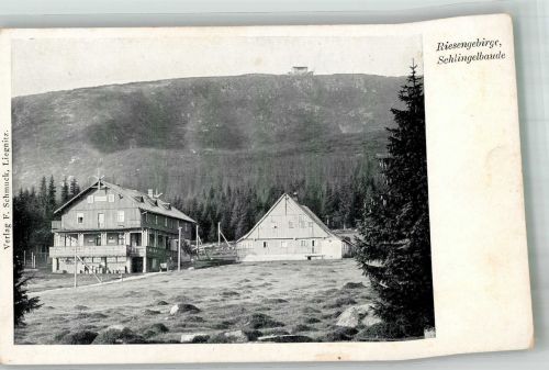 Schlingelbaude Foto AK Riesengebirge