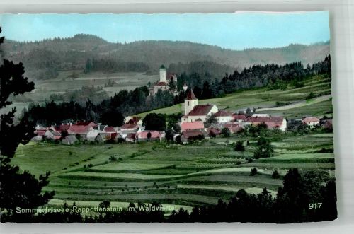 3911 Rappottenstein Foto AK Waldviertel