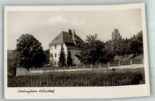 2340 Maria Enzersdorf 1943 Foto AK Pension Erholungsheim Wällischhof