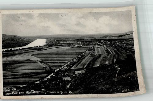 2100 Korneuburg 1941 Foto AK Feldpost WK II