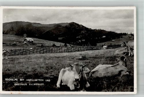 8163 Teichalm Foto AK Gasthaus Baumegger