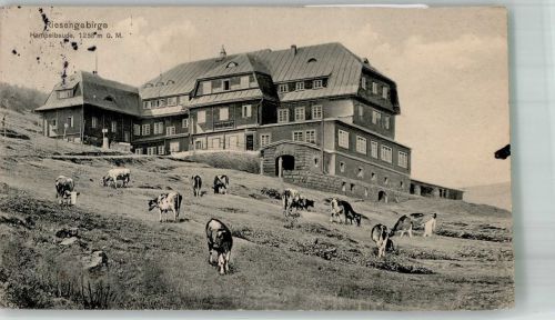 Hampelbaude 1914 Foto AK Gasthaus Hotel