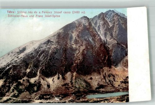 Schlesierhaus Foto AK Gasthaus Franz Josef Spitze Tatra