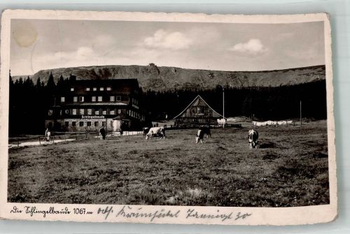 Schlingelbaude 1942 Foto AK Gasthaus Blick zur Prinz-Heinrich Baude